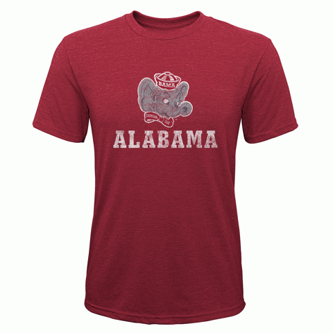 Alabama Crimson Tide Youth Red Shirt