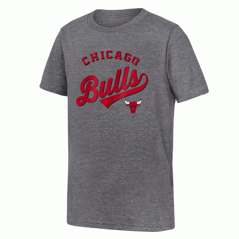 Chicago Bulls Youth Gray Short Sleeve Shirt