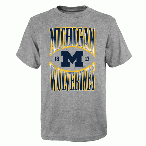Michigan Wolverines Youth Gray Shirt