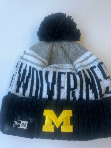 Michigan Wolverines New Era Team Pride Winter Hat