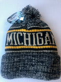 Michigan Wolverines Zephyr Springfield Style Winter Hat