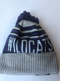 Northwestern Wildcats New Era Blaze Style Winter Hat