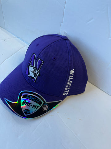 Northwestern University Wildcats Top of the World Medium/Large Memory Fit