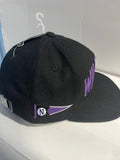 Northwestern University Wildcats Zephyr Flat Brim Adjustable Hat