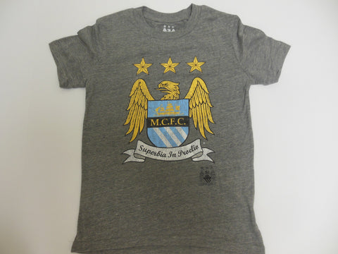Manchester City Football Club M.C.F. C.  BPL Youth Gray Performance Adidas T-Shirt - Dino's Sports Fan Shop