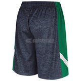 Notre Dame Fighting Irish Colosseum Gray Setter Youth Shorts