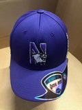 Northwestern Wildcats Top of the World Memory Fit Hat M/L