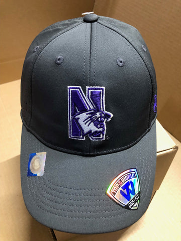Northwestern Wildcats Top of the World One Fit Hat