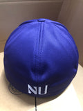 Northwestern Wildcats Top of the World Memory Fit Hat M/L