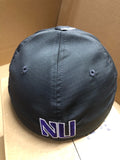 Northwestern Wildcats Top of the World One Fit Hat