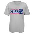 Chicago Cubs Youth Gray Gen2 MLB T-Shirt